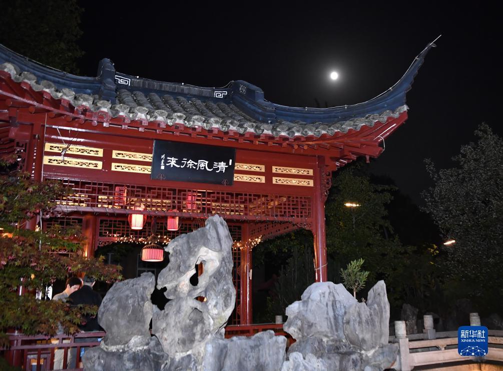 淘金大赢家app